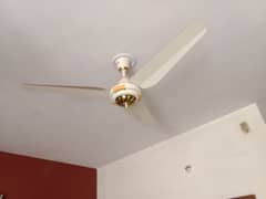 brand New fan. . . . .