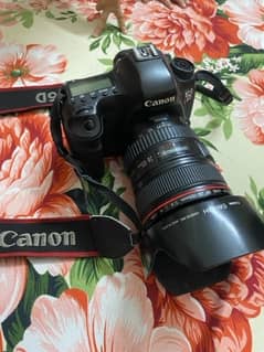 canon 6D full frame with 24-105 lenz