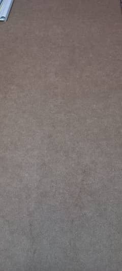 Room Carpet in Very Good Condition