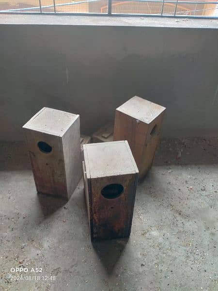 wooden box for parrots 2