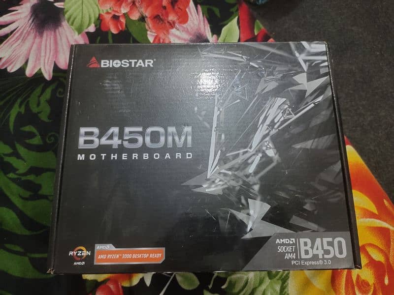 BioStar b450, am4 Slot 0