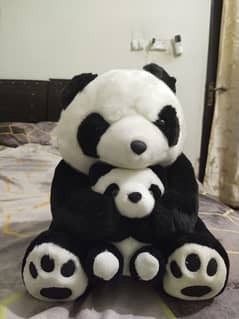 panda