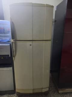 PEL refrigerator for sale