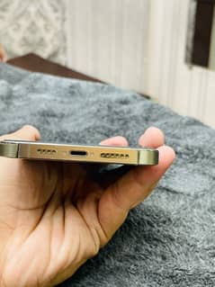 iphone 13 pro max jv golden colour 256gb