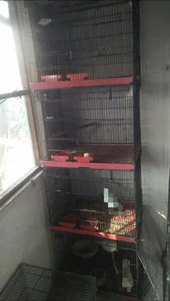 4 porshan cage 03127093372