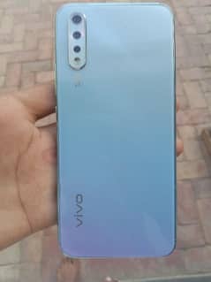 vivo