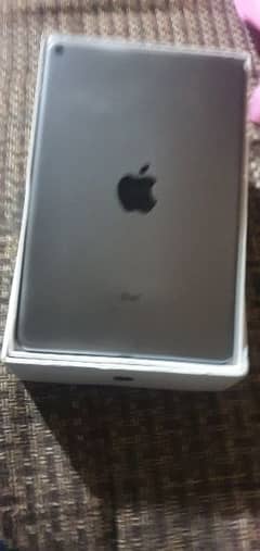 Ipad mini 5