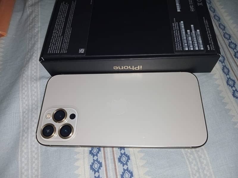 iphone 12  pro max one hand owner gold 8