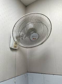 FAN