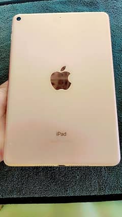 ipad mini 5 0