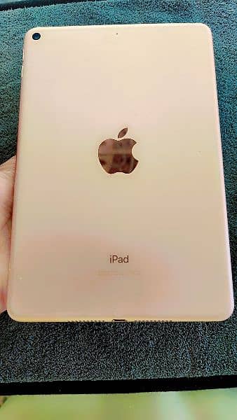 ipad mini 5 0