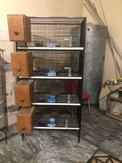 birds cage for sale