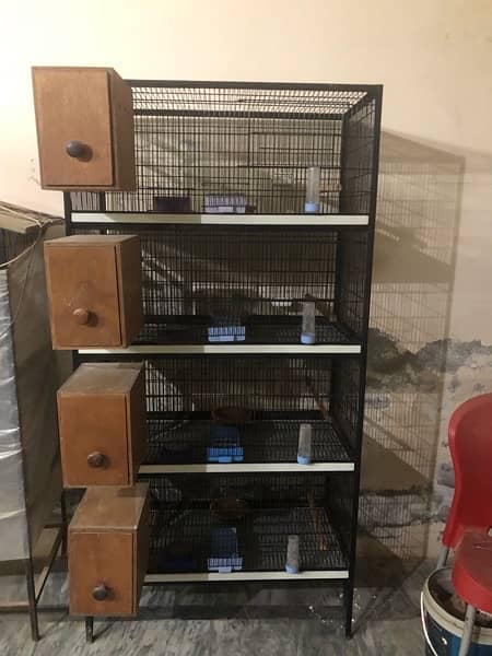 birds cage for sale 1