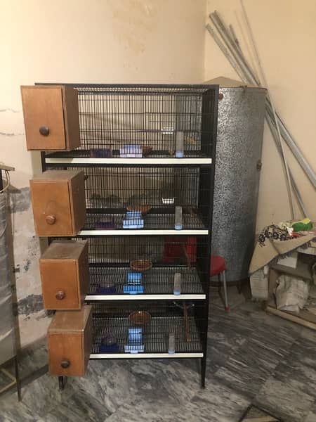 birds cage for sale 2