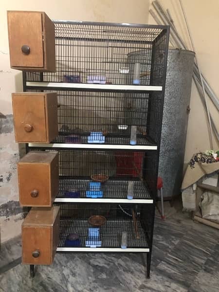 birds cage for sale 3