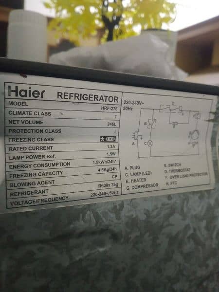 haier fridge glass door black new condition 1