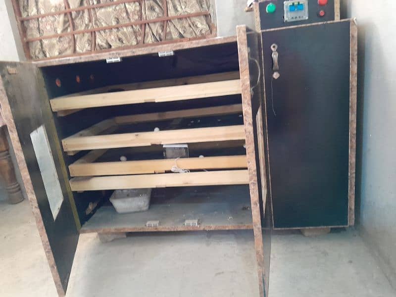 incubator for sale 2