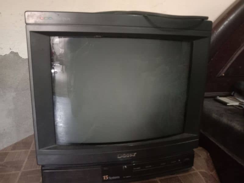 Television 1