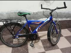 Caspian bicycle