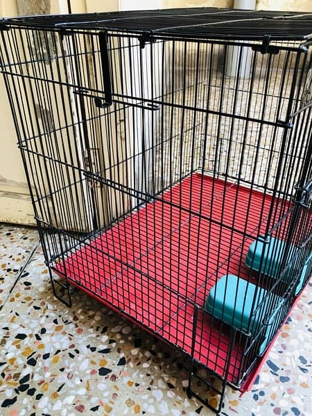 cage for sale 2