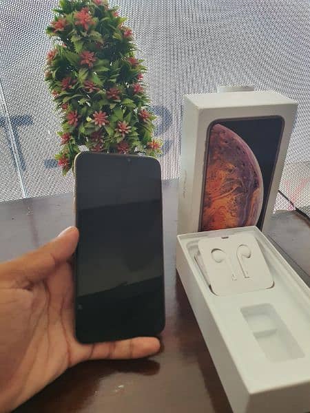 IPHONE XS MAX 256GB 10