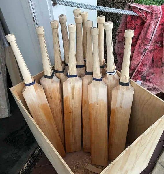 cricket bats 1