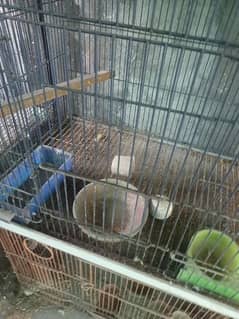 bird cages for sale