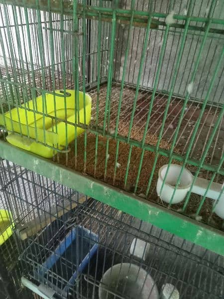 bird cages for sale 1