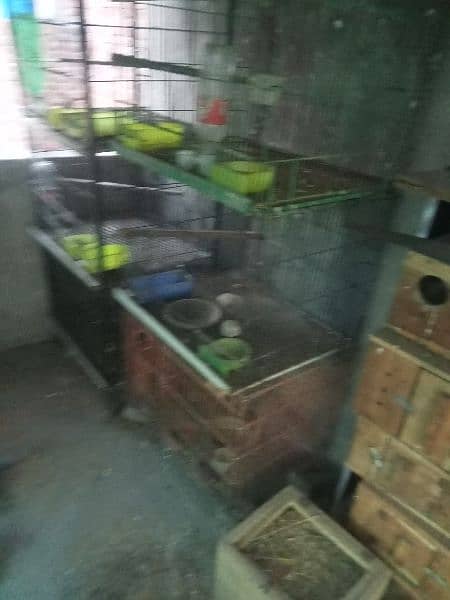 bird cages for sale 3