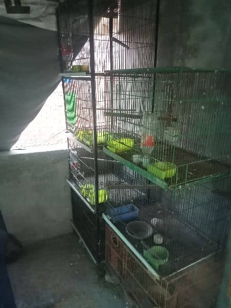 bird cages for sale 4