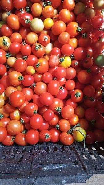 English imported vegetables