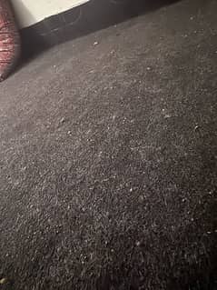 dark gray room carpet