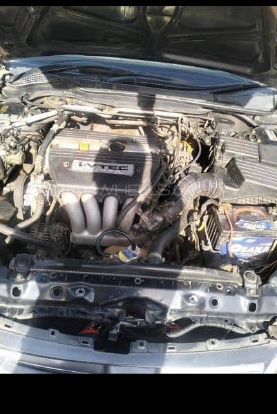 Honda Accord 2005 1