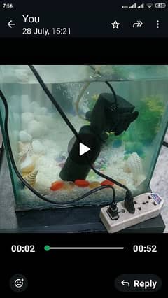 aquarium for loote sale with all season assesries