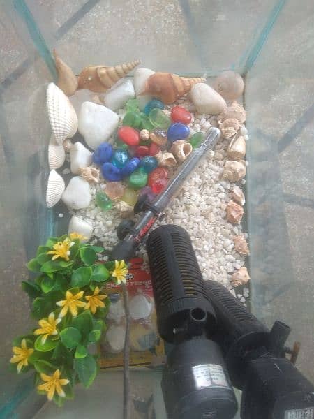 aquarium for loote sale with all season assesries 1