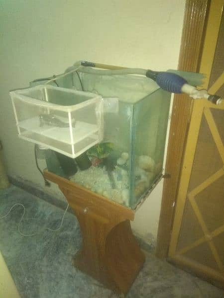 aquarium for loote sale with all season assesries 4