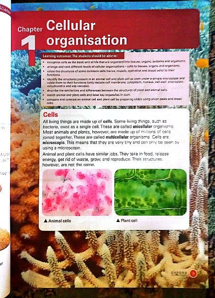 Oxford Science fact file for class 6 third edition by david coppock 5