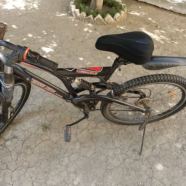 UNIQUE BICYCLE FOR SALE 4