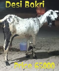 Desi Bakri Gabban