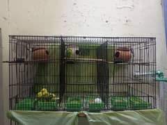 3 portion cages for sale (total 2 cages) Whatsapp no 03154227902.