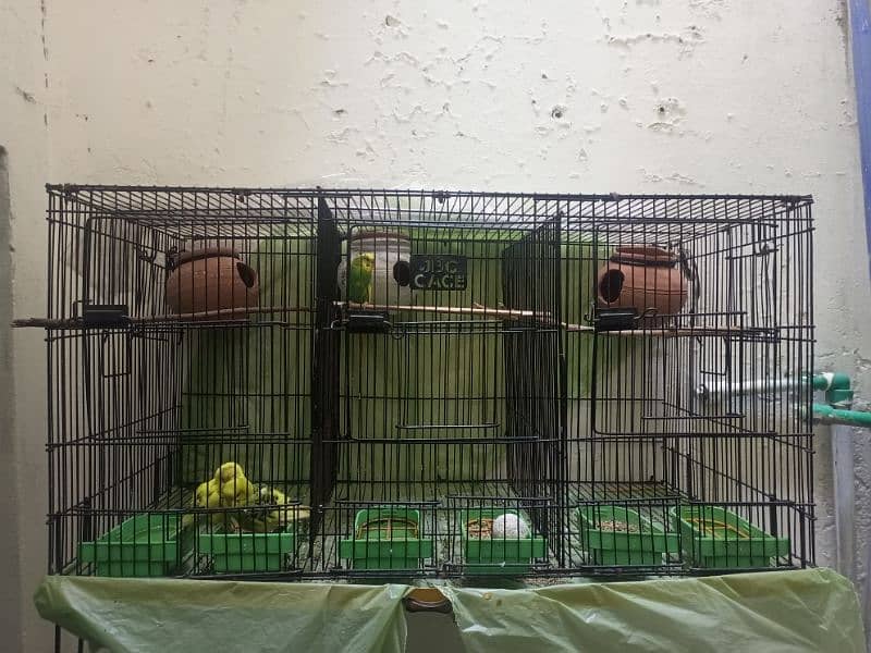 3 portion cages for sale (total 2 cages) Whatsapp no 03154227902. 0