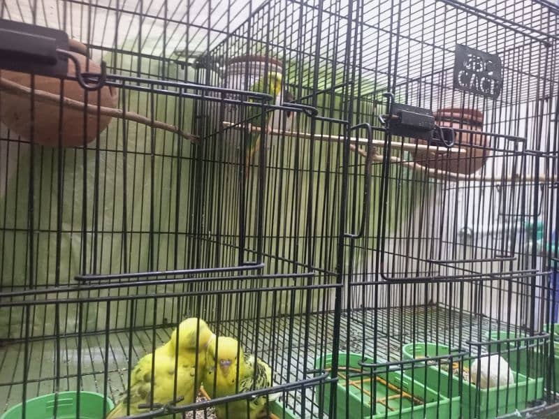 3 portion cages for sale (total 2 cages) Whatsapp no 03154227902. 2