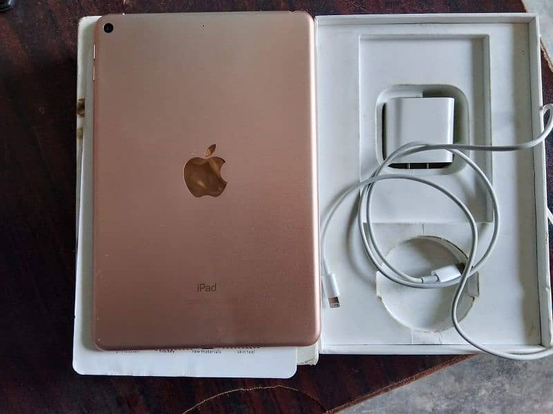 iPad mini 5 1