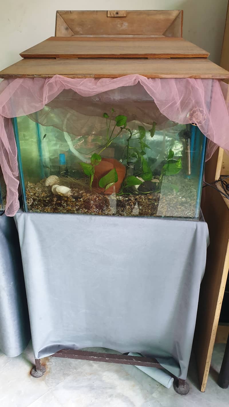 3 aquariums with fish 2