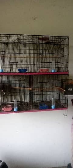 Parrot cages and hen cage