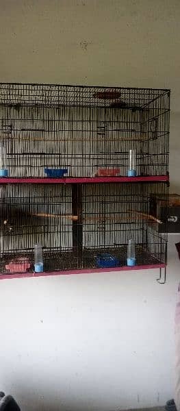 Parrot cages and hen cage 0