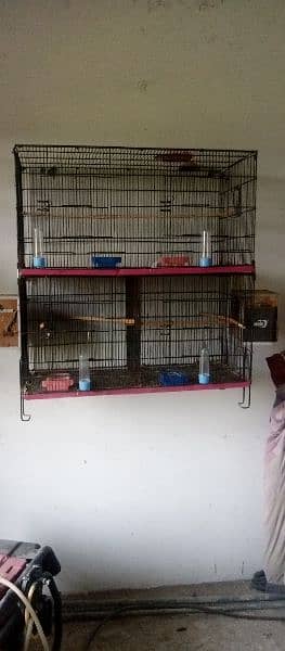 Parrot cages and hen cage 1