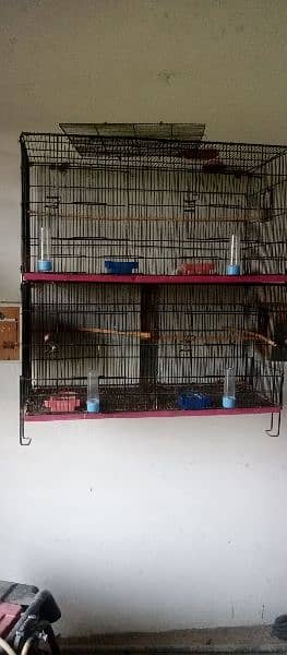 Parrot cages and hen cage 2