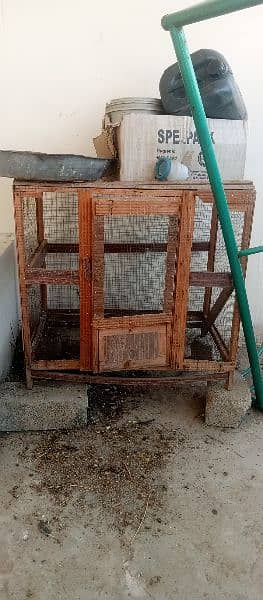 Parrot cages and hen cage 4