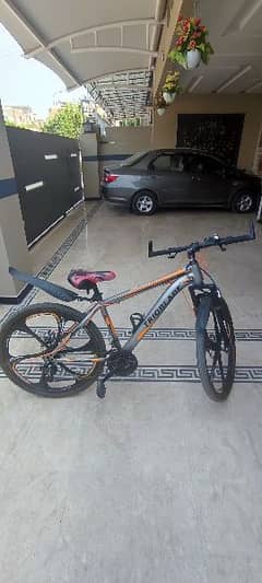 mountain bicycle for sale